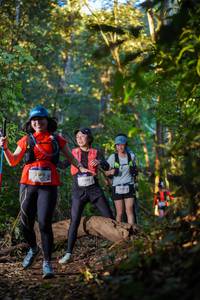 BIB: 
                            <button type="button" onclick="openModal(19243268)" class="btn btn-primary btn-sm float-right btn-popup" data-toggle="modal" data-target=".modal-high-quality">
                        <i class="fas fa-shopping-cart"></i> Add to Cart
                    </button>
                                            <button type="button" onclick="isThisMe(19243268, true)" class="btn btn-success btn-sm float-right btn-popup btn-isme hidden" data-toggle="tooltip" data-placement="bottom" title="นี่คือรูปของคุณใช่ไหม คลิกที่นี่เพื่อเอาเข้าอัลบั้ม">
                        <i class="fas fa-plus"></i> Add to album
                    </button>
                    <button type="button" onclick="isThisMe(19243268, false)" class="btn btn-warning btn-sm float-right btn-popup btn-isnotme hidden">
                        <i class="fas fa-ban"></i> Remove from album
                    </button>